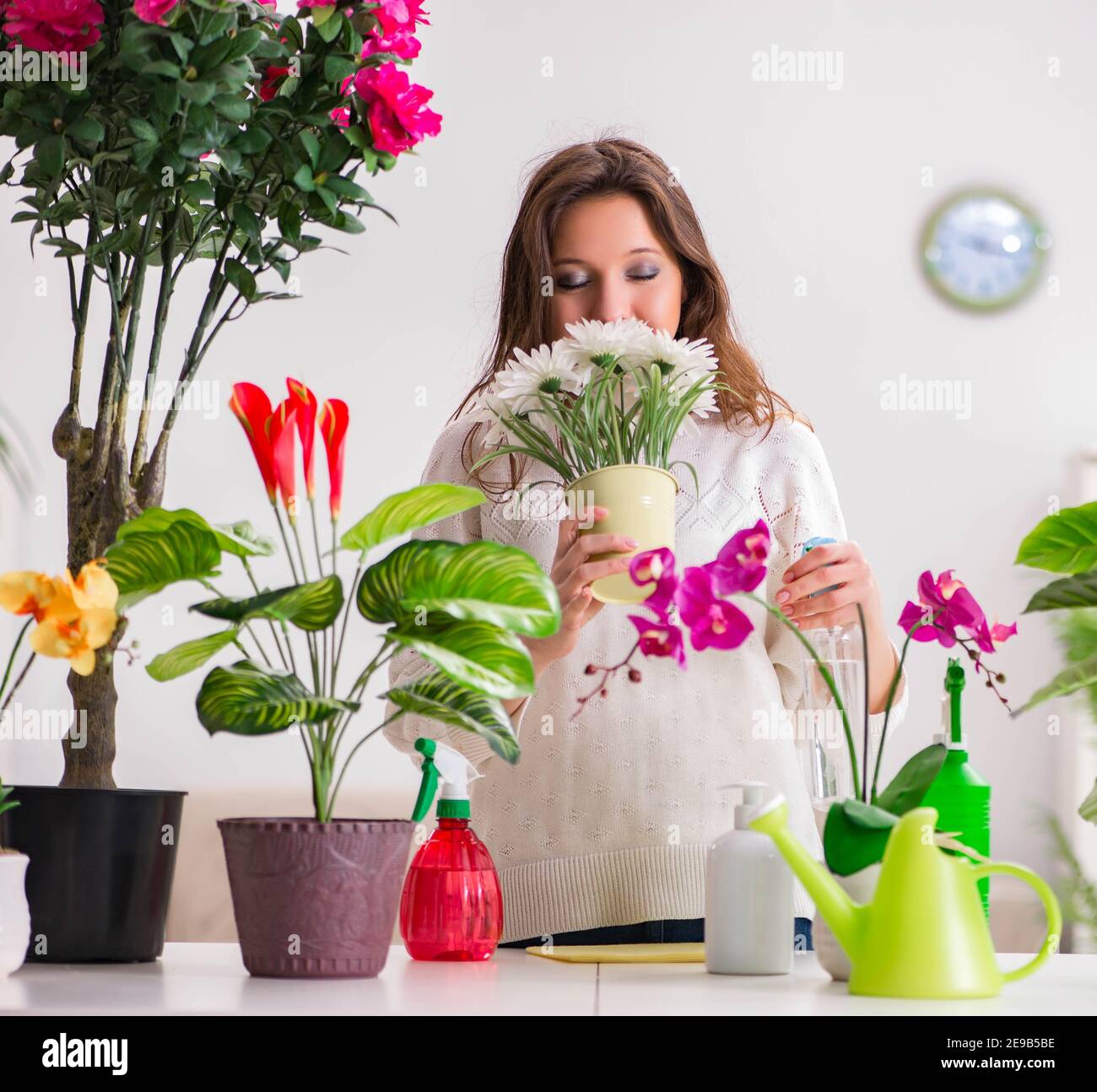 The young woman looking after plants at home Stock Photo Alamy