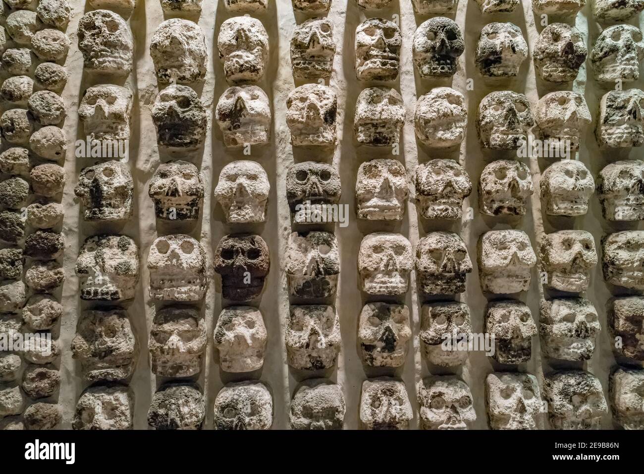 Tzompantli skull rack at the Museum of the Templo Mayor in Mexico City, Mexico o Stock Photo