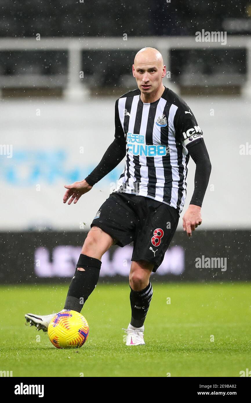 NEW CASTLE ニューキャッスル 8 SHELVEY シェルヴェイ NEW CASTLE ニューキャッスル 8 SHELVEY シェルヴェイ 元イングランド