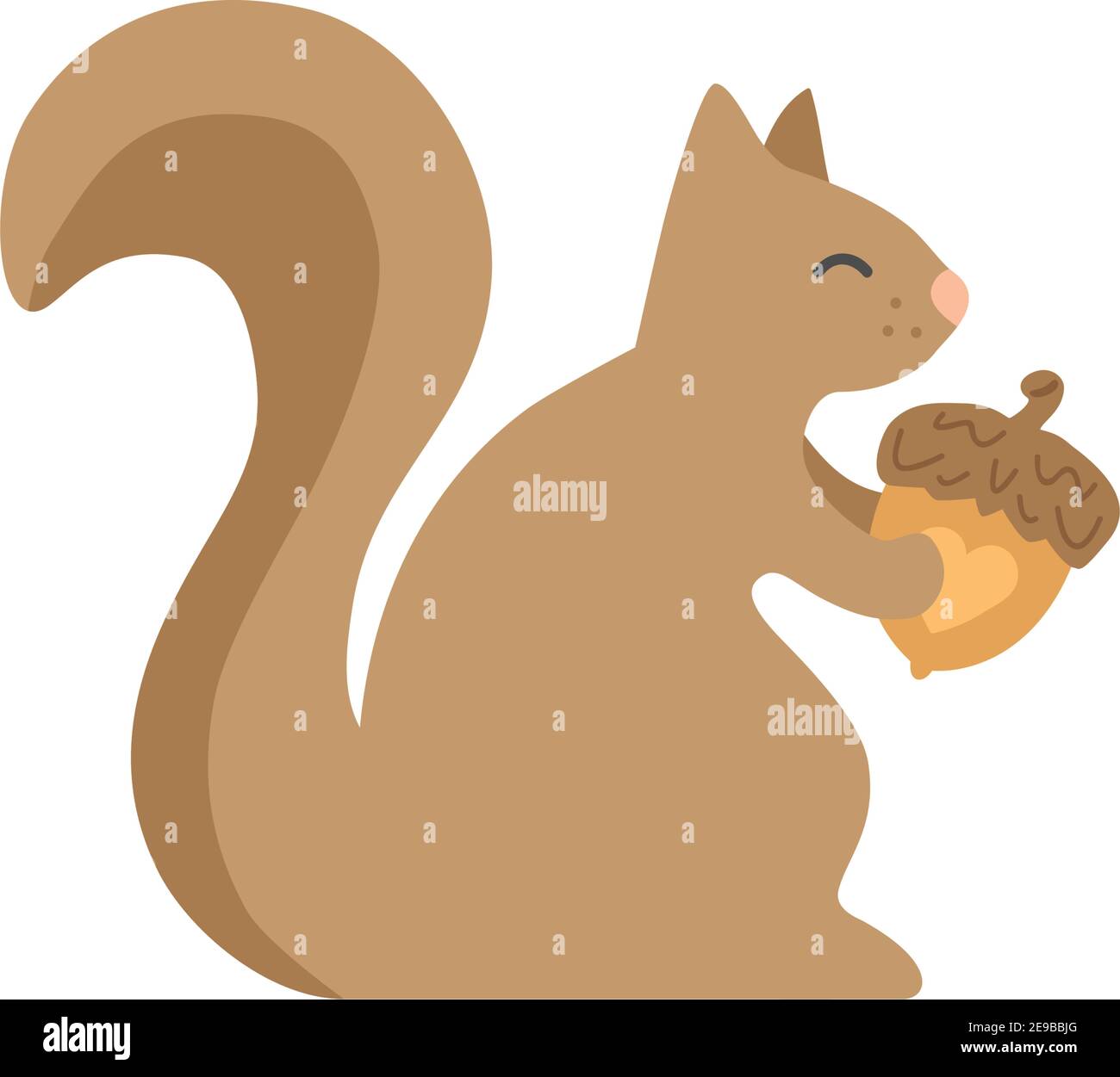 Cute squirrel vector illustration. Squirrel rodent animal with nut
