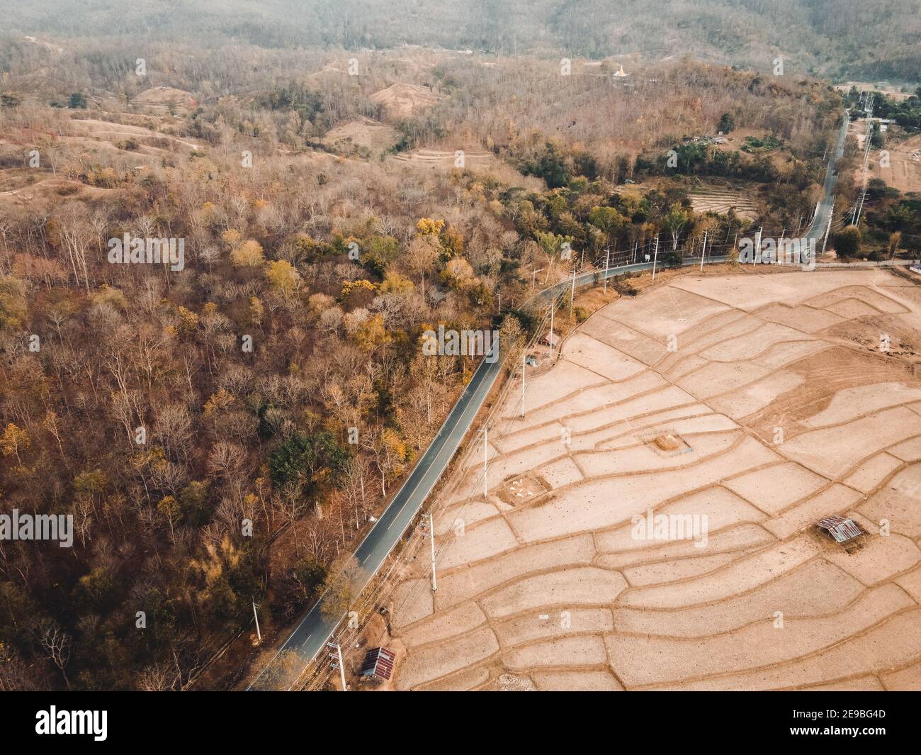 Paddy field after harvest in summer Stock Photo - Alamy