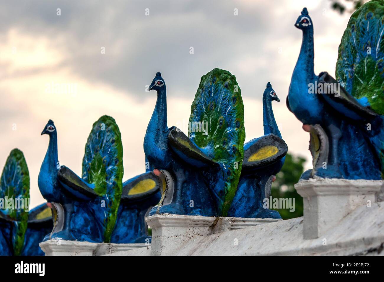 A row of peacock statues sitting on the main courtyard wall at the