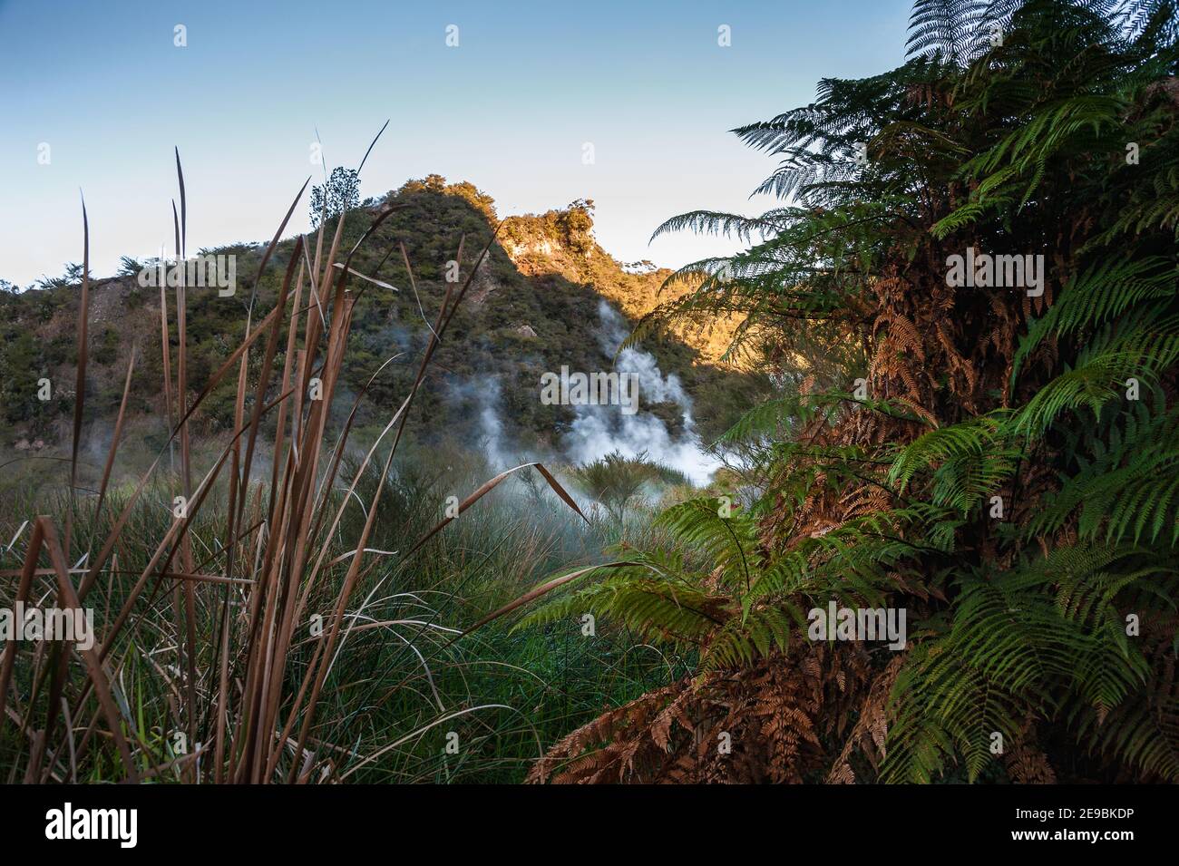 Waimangu Volcanic Valley, New Zealand. Steam rising from steep sided ...