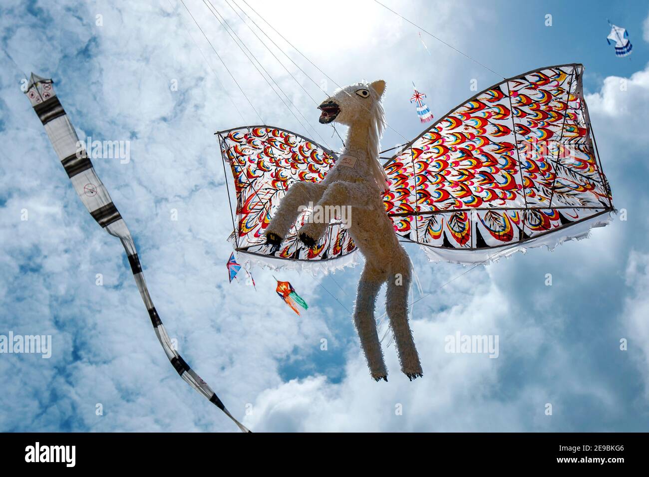 Various kites including a flying horse sail above Negombo beach during
