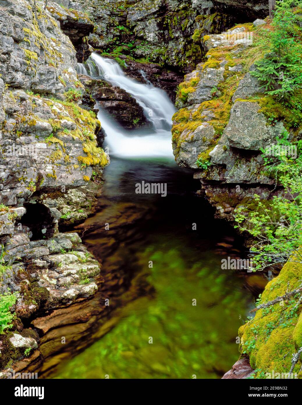 waterfall dropping into a on the upper jocko river near arlee, montana Stock Photo Alamy