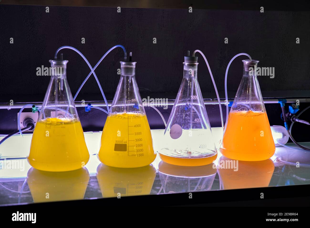 Experience in a pharmaceutical laboratory Stock Photo Alamy