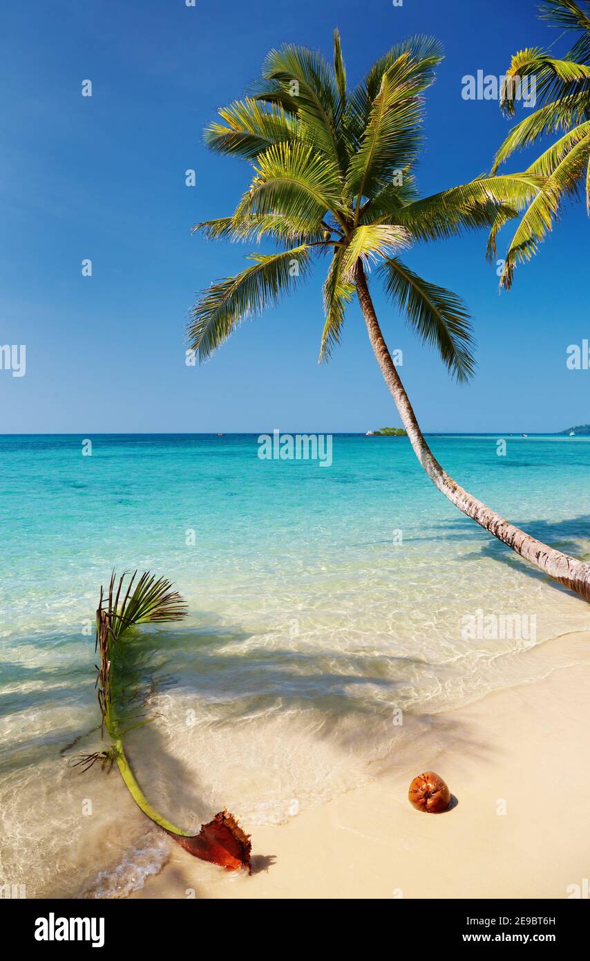 Tropical beach, Kood island, Thailand Stock Photo