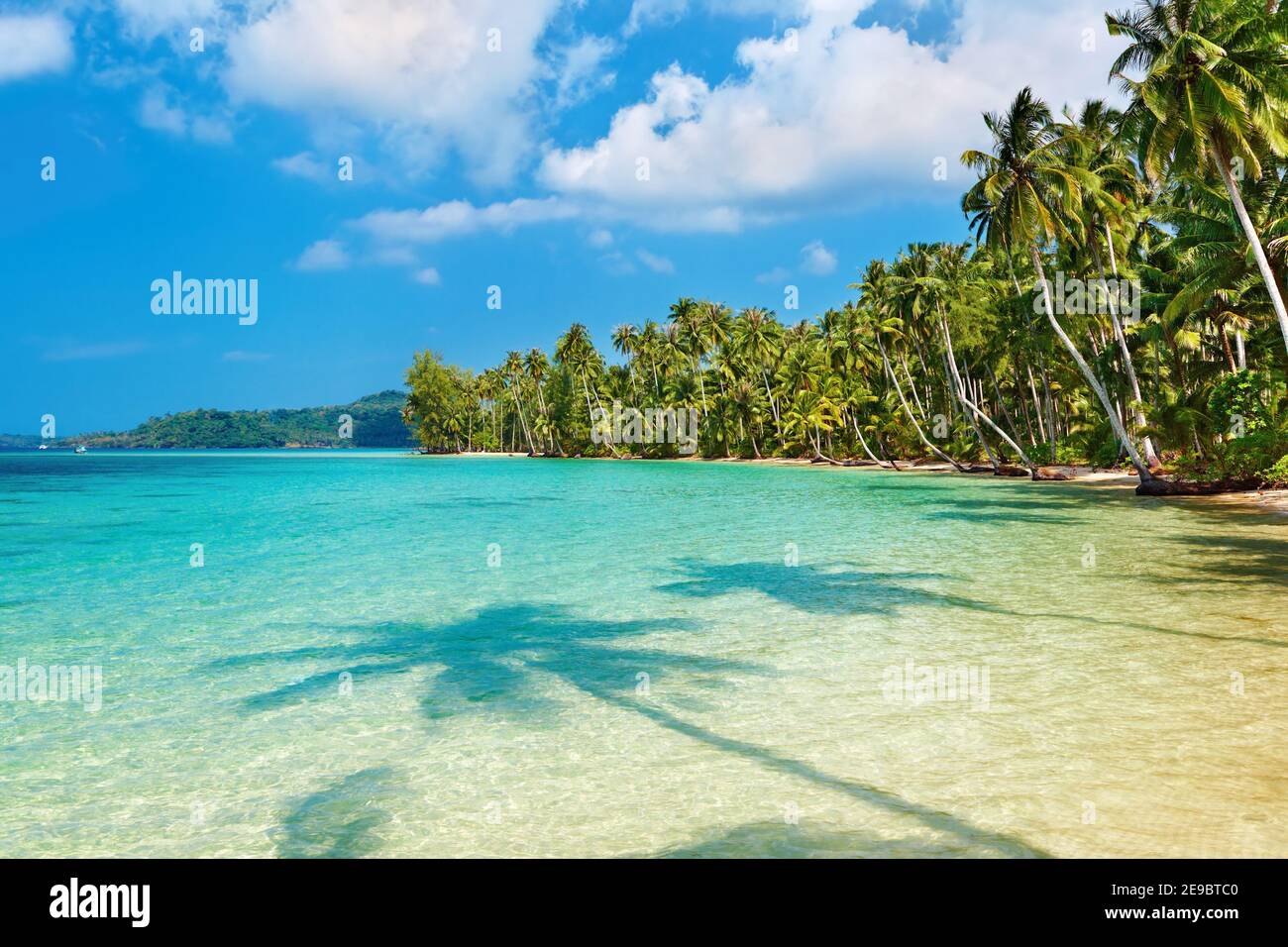 Coconut palms on the beach, Kood island, Thailand Stock Photo