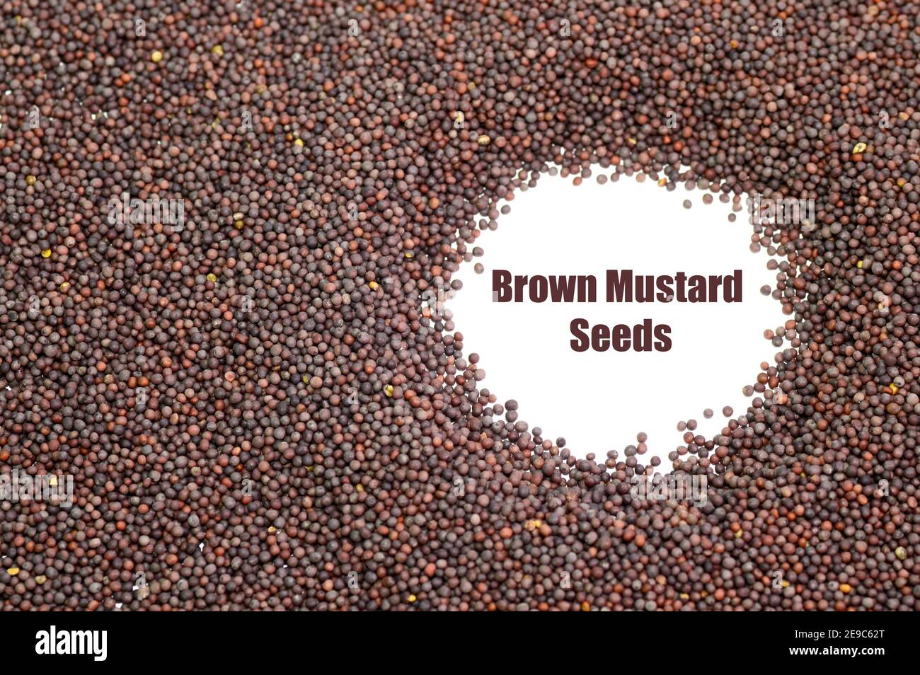 Brown mustard seeds hires stock photography and images Alamy