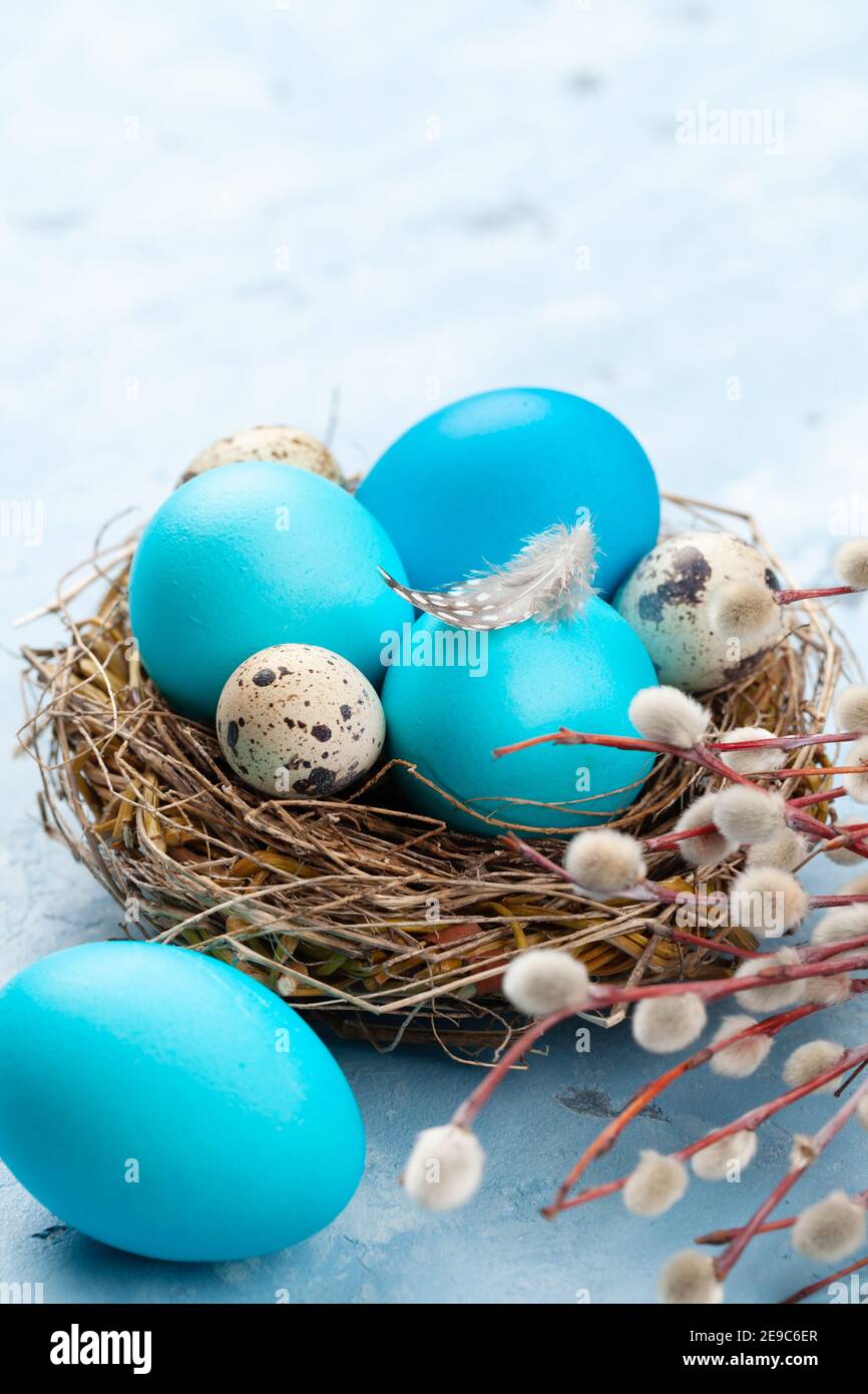 Colorful easter eggs in nest on stone background. With space for your ...