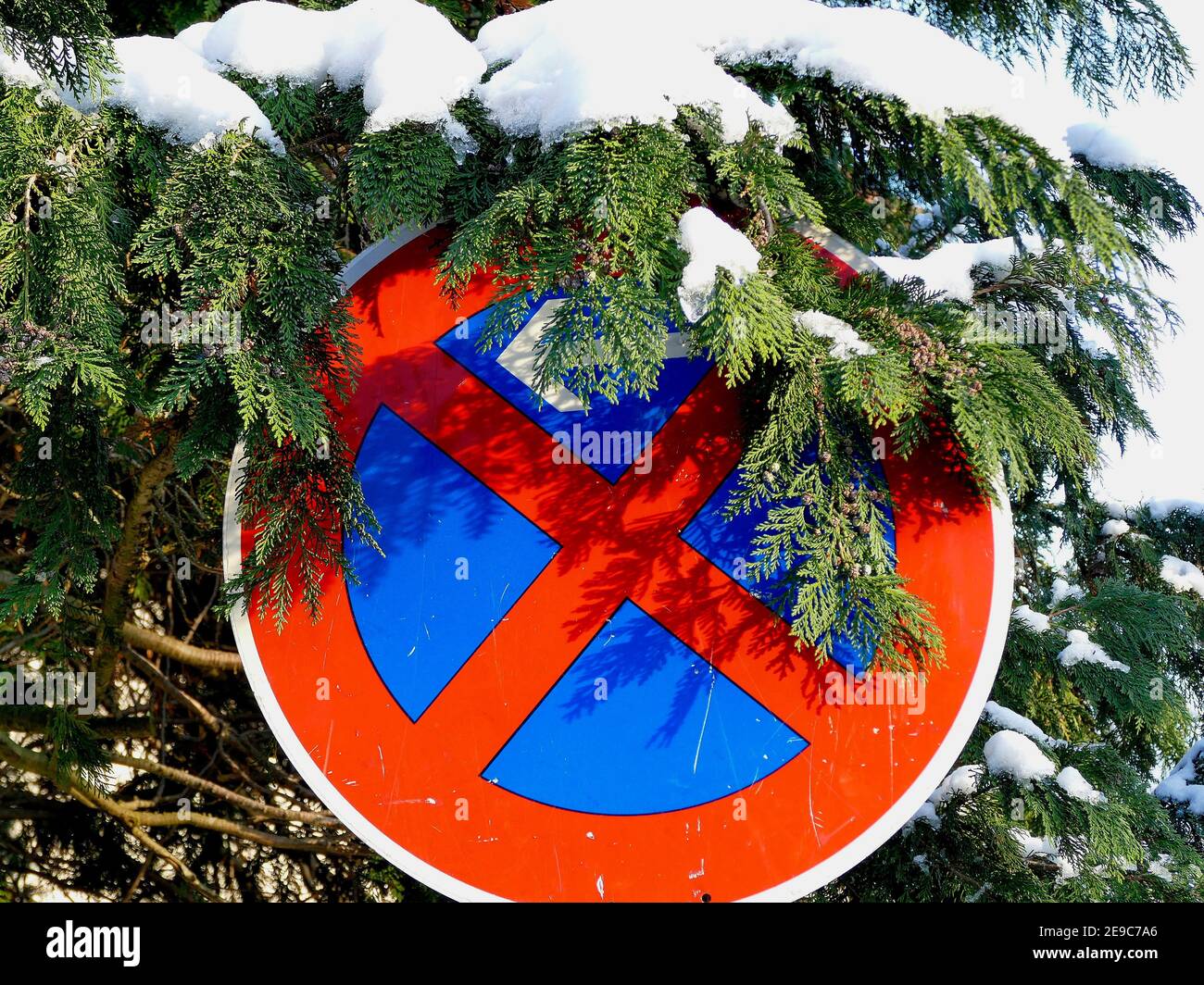 traffic stopping sign with tree with snow cover. Stock Photo