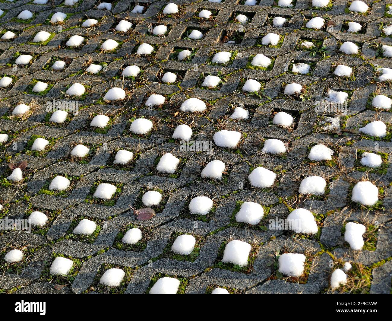 Concrete grass pavers hi-res stock photography and images - Alamy