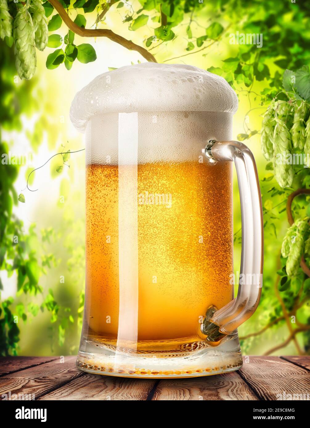 Mug of light beer against the backdrop of a hop garden. Stock Photo
