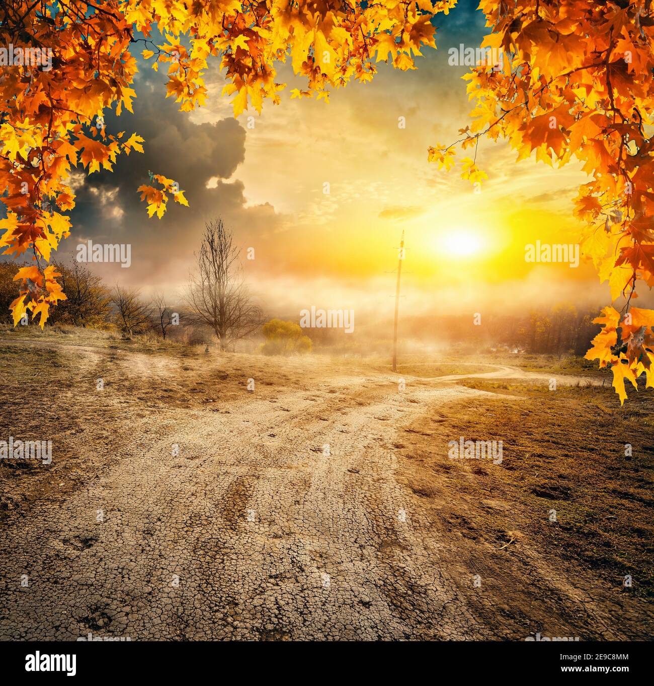 Road and the autumn field at the sunrise. Stock Photo