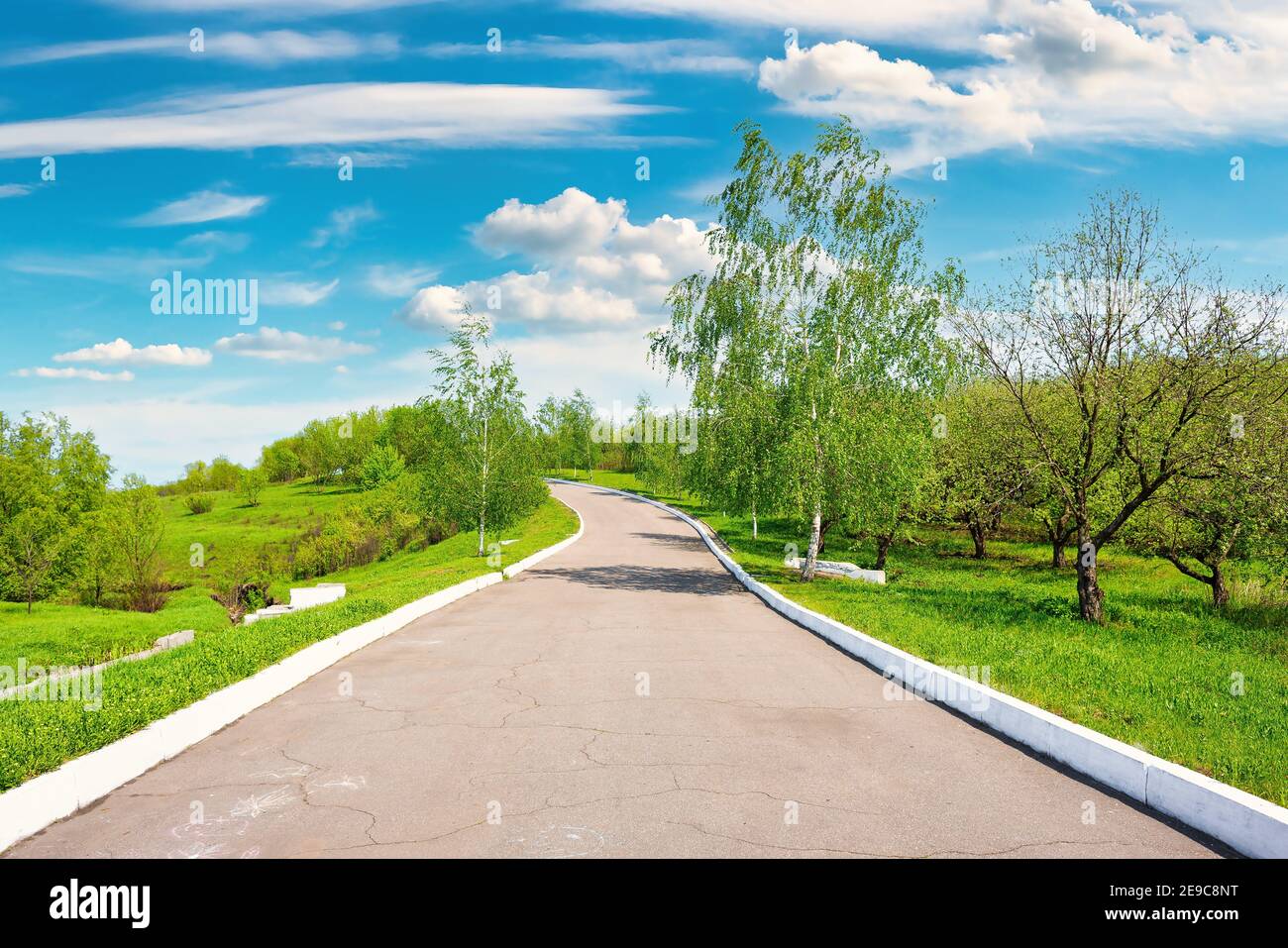 Asphalt road in the park on a sunny day. Stock Photo