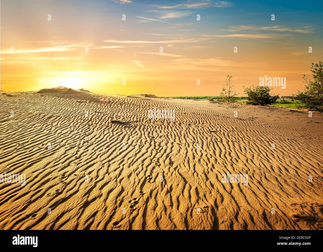 Sandy desert in Egypt at the sunset. Stock Photo
