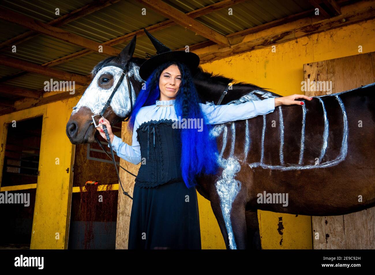 Halloween celebration, a young girl in a witch costume stands by a horse  with a skeleton drawn Stock Photo - Alamy