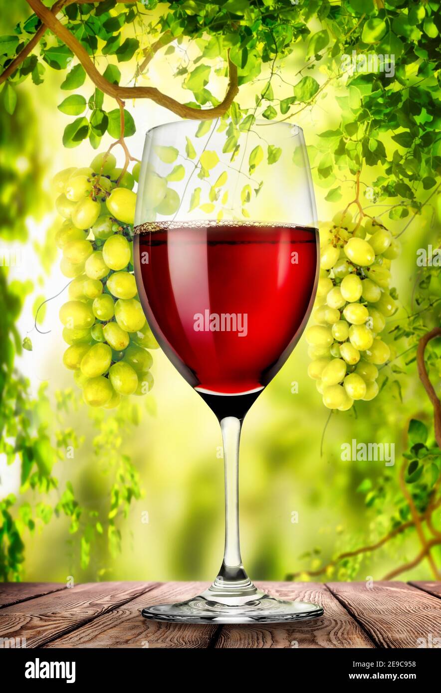 Red wine in glass and bottle against the background of the vineyard. Stock Photo