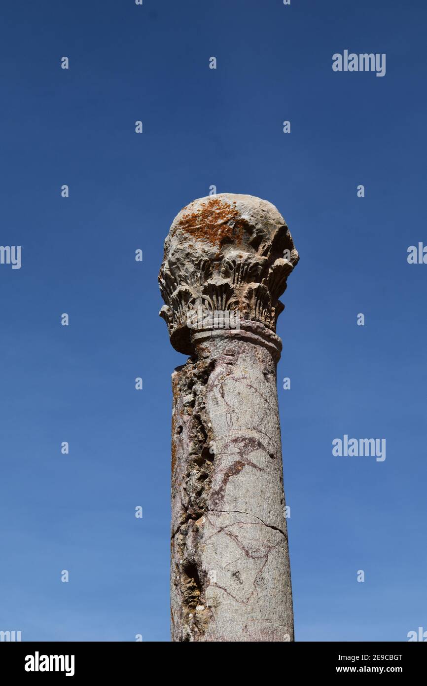 Roman column ruin in Djemila city, Setif,  Algeria Stock Photo