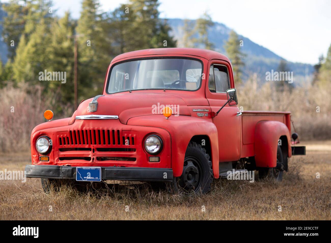 A 1952 International L130 pickup truck, in Troy, Montana.   International L Series trucks were produced by International Harvester from 1949 to 1952. Stock Photo