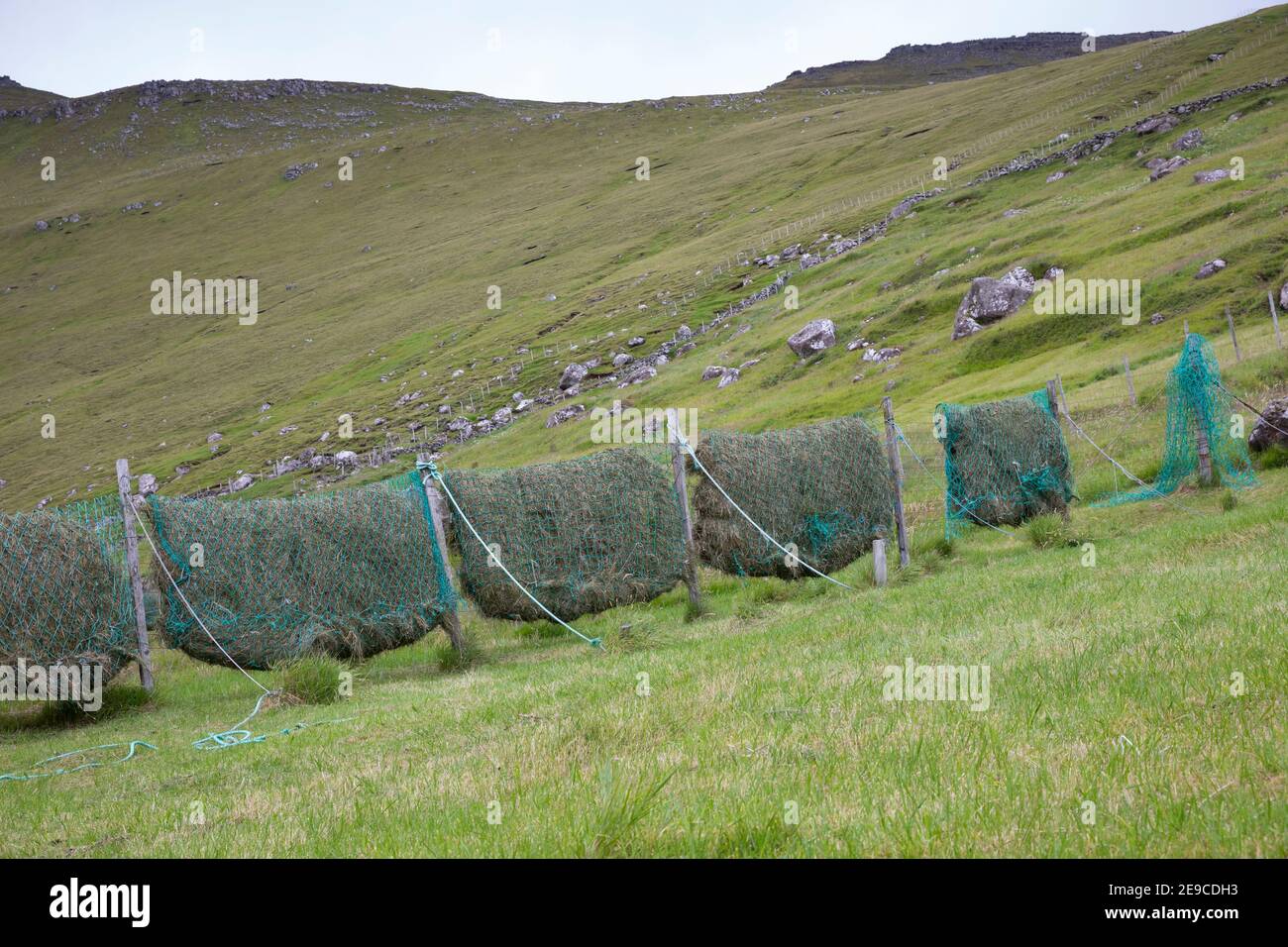 Heu trocknen in alten Fischernetzen, Heu machen, Heu, Färöer, Färöer-Inseln, Färöer Inseln, hay, to make hay, to hay, Faroe, Faeroe Islands, Les Îles Stock Photo