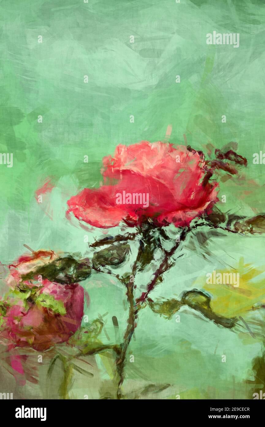painterly roses flower artwork, wall art Stock Photo Alamy