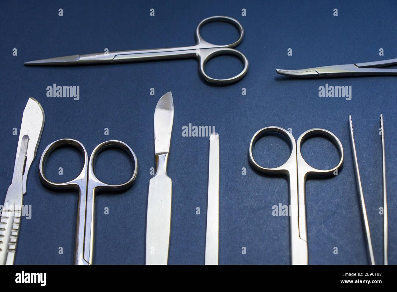 Closeup of dissection kit tools on blue surface Stock Photo Alamy