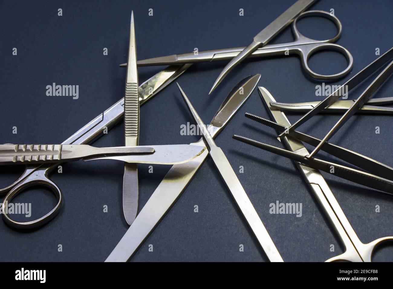 Dissection tools hires stock photography and images Alamy