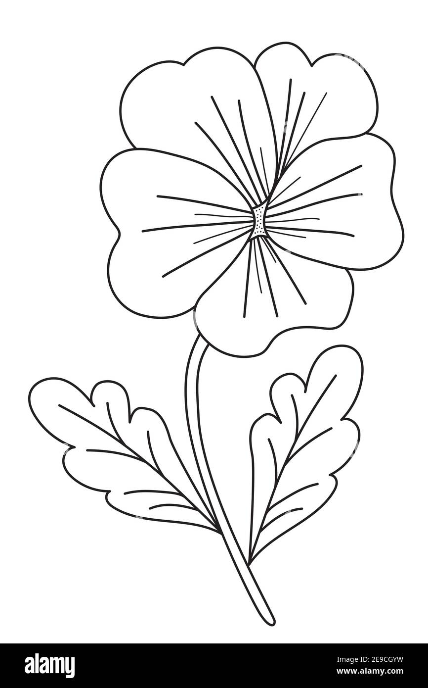 Spring flower - violet. Vector drawing. Black line, outline. Ornamental plant Viola for print, decor and design, cards and postcards. Isolated on whit Stock Vector