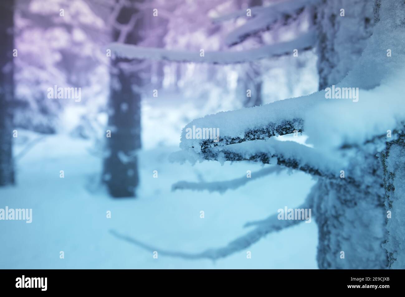 Depth of scene hi-res stock photography and images - Alamy