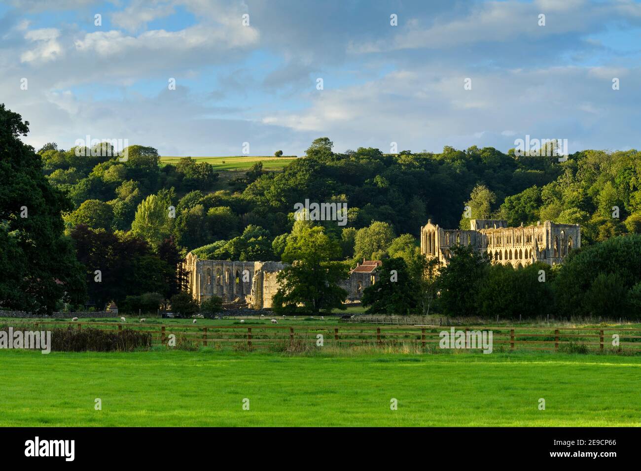 Picturesque sunlit ruins of beautiful historic medieval Rievaulx Abbey by hillside in tranquil valley (summer evening) - North Yorkshire, England, UK. Stock Photo