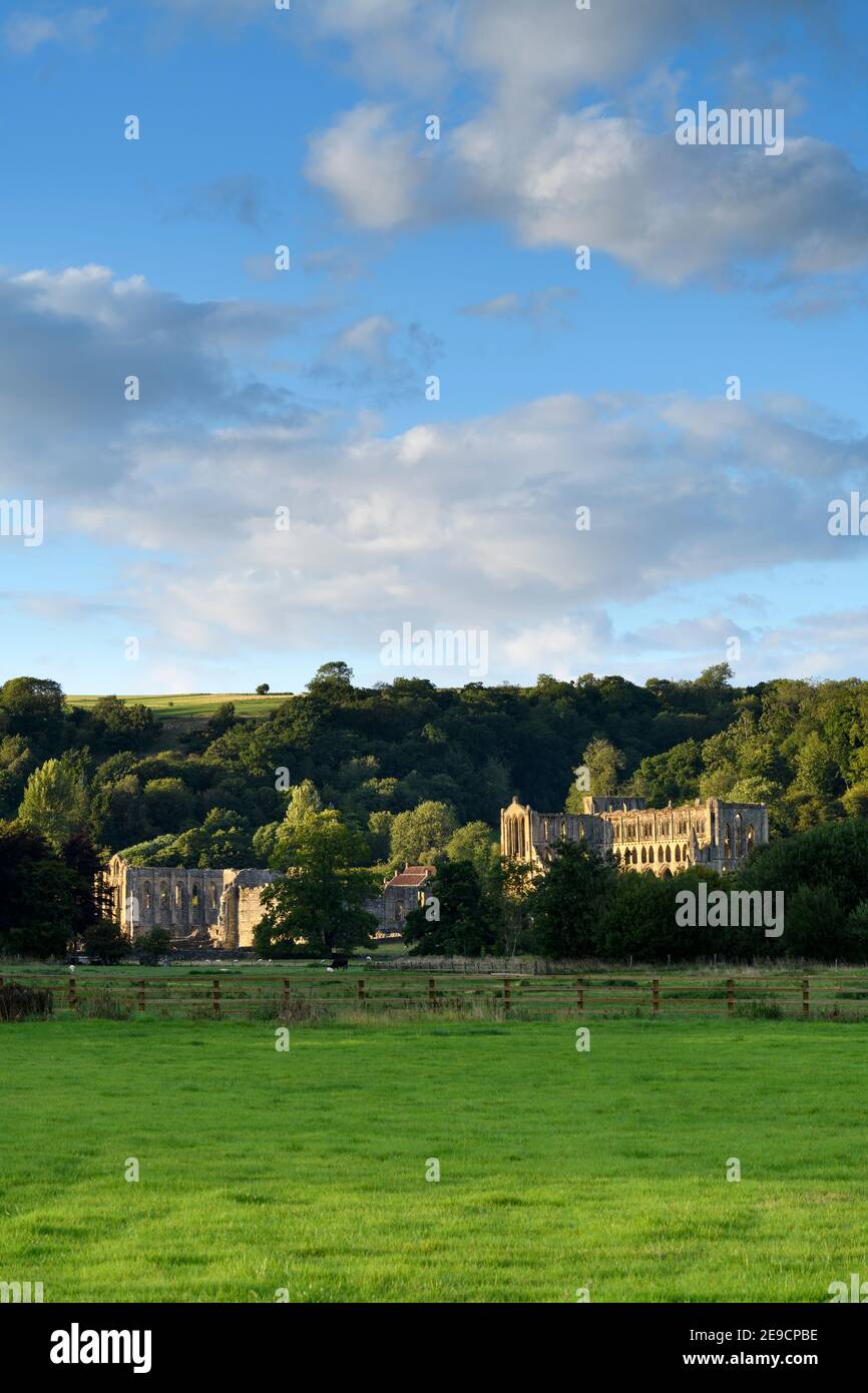 Picturesque tranquil sunlit ruins of beautiful historic medieval Rievaulx Abbey (summer evening view by valley fields) - North Yorkshire, England, UK. Stock Photo