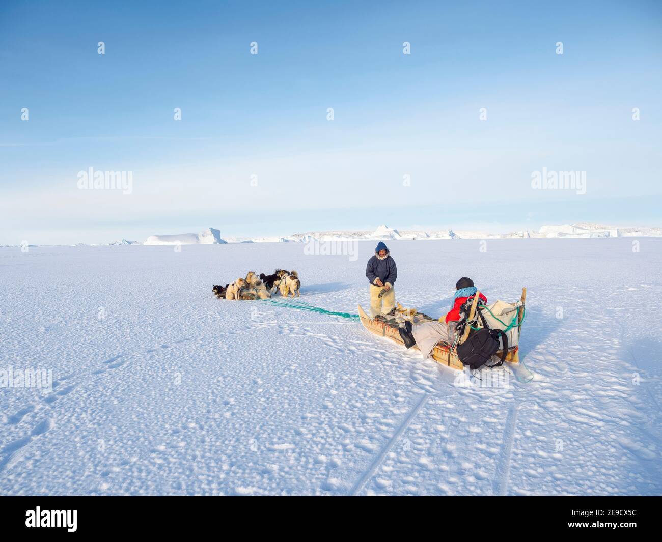 Tourist on dog sled on the sea ice of the frozen Melville Bay, part of  Baffin Bay near Kullorsuaq. America, North America, Greenland, Danish territor Stock Photo