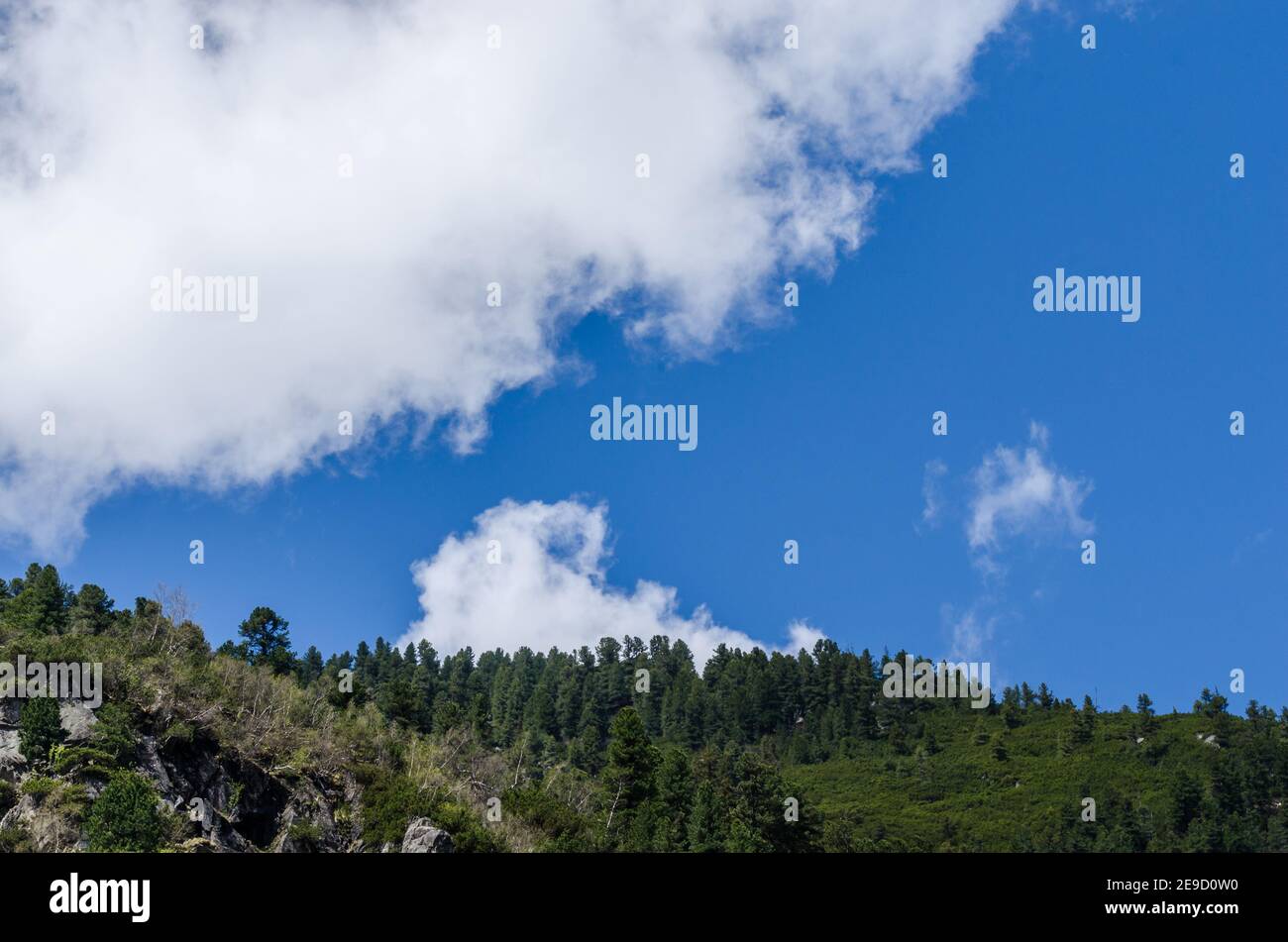Mountain dense forest hi-res stock photography and images - Alamy