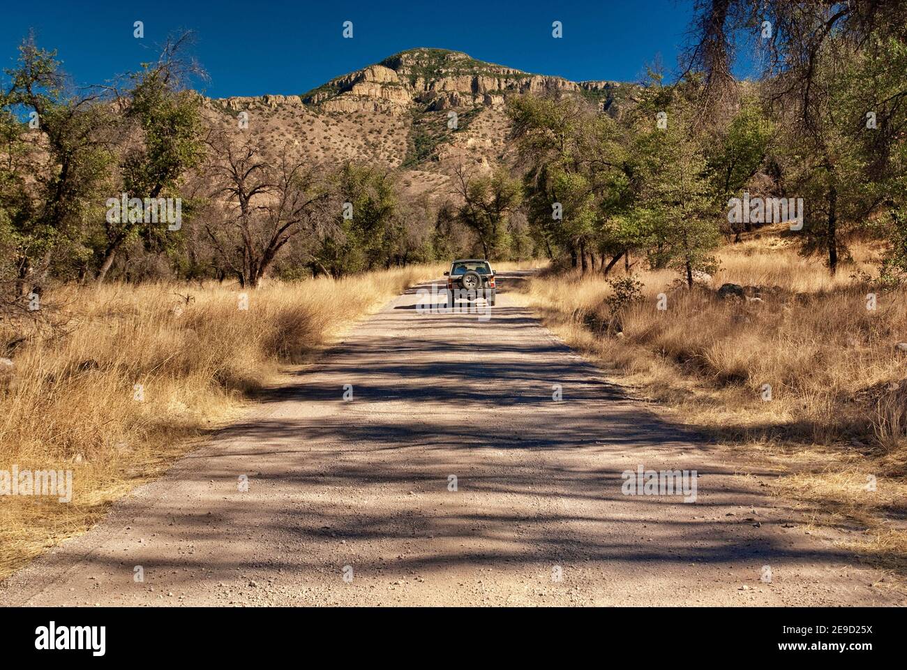Ruby Road in Atascosa Mountains, Sonoran Desert near Mexican border and