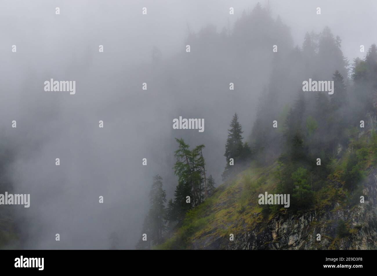 Fog on mountain hi-res stock photography and images - Alamy