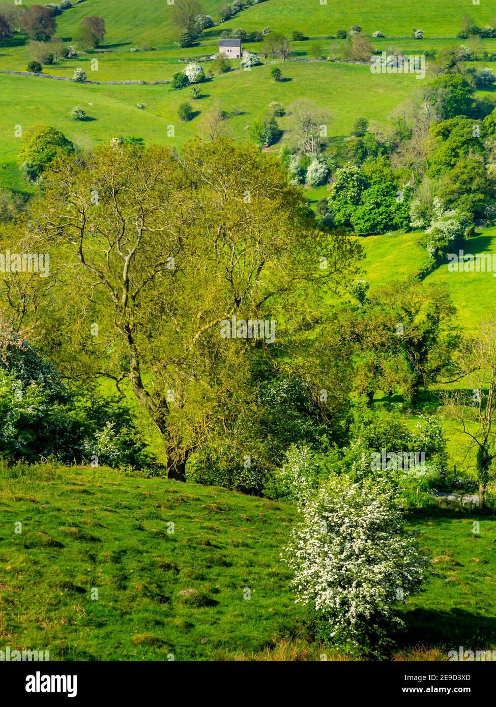 Rolling countryside near Oaker in the Derbyshire Dales area of the Peak District National Park, Derbyshire, England, UK Stock Photo