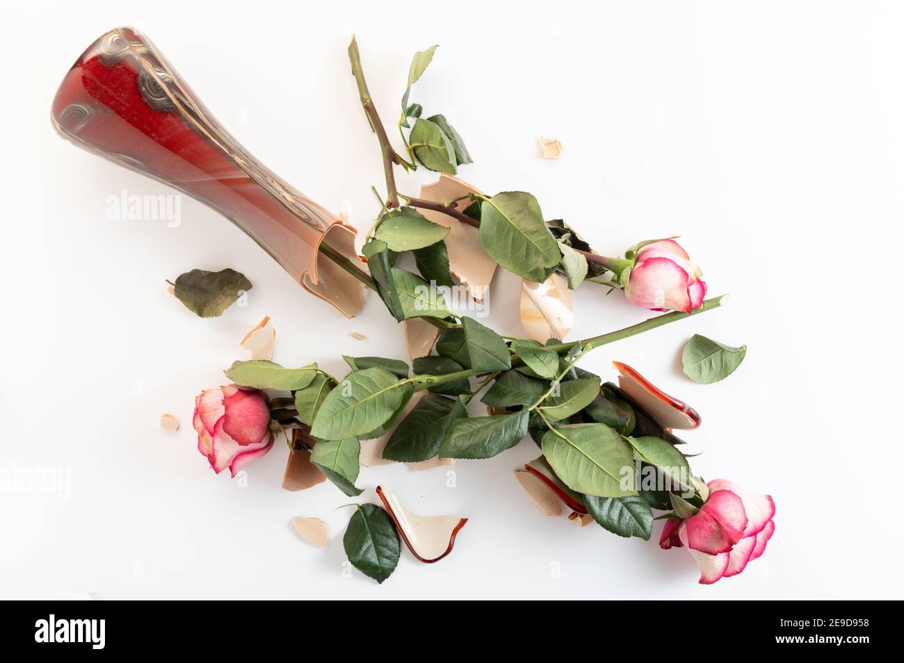 Broken glass vase. Broken vase of flowers. Broken vase of roses on the