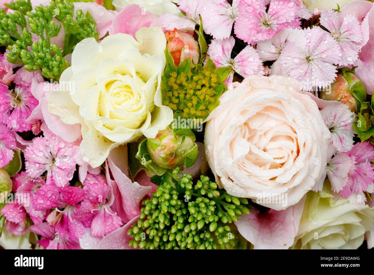 flowers girdle with roses and pinks Stock Photo