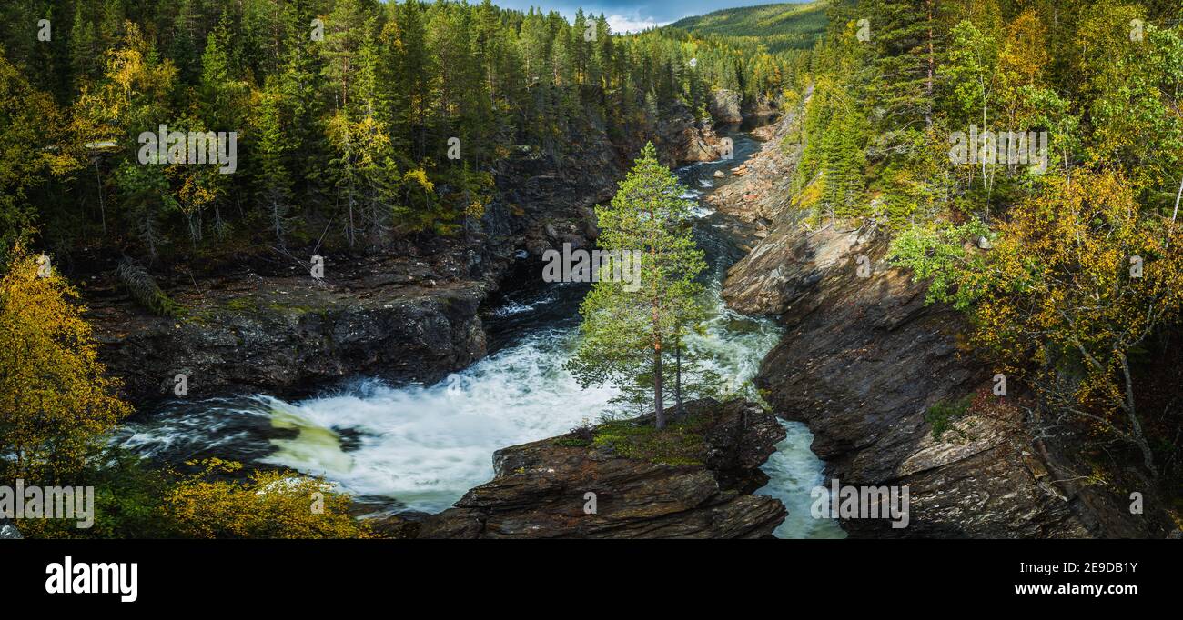 Autumn in Norway. River Gaula andboreal mountain forests. Natural scenery of scandinavian outdoors. Stock Photo