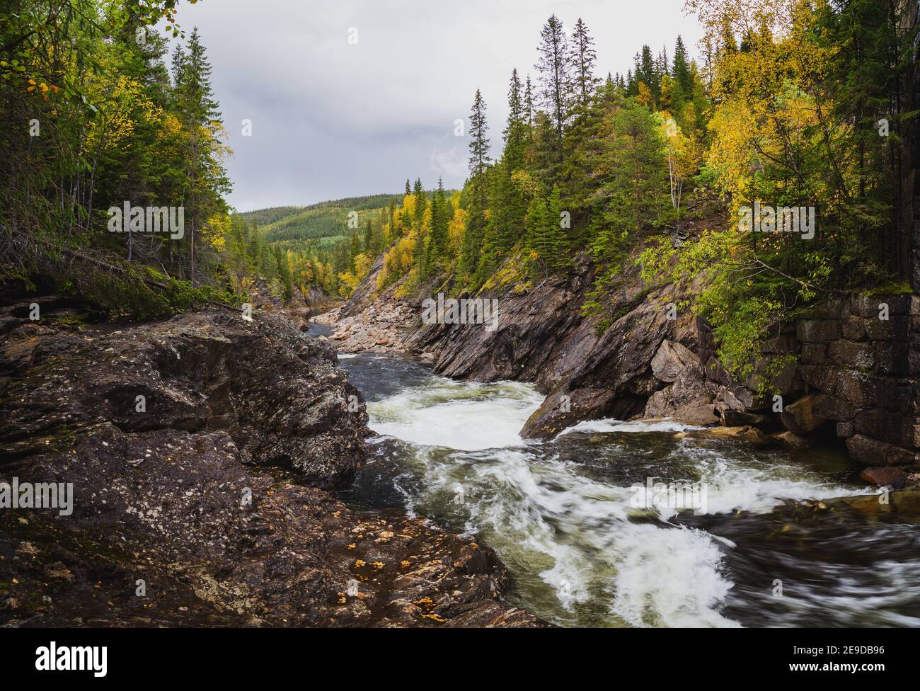 Autumn in Norway. River Gaula andboreal mountain forests. Natural