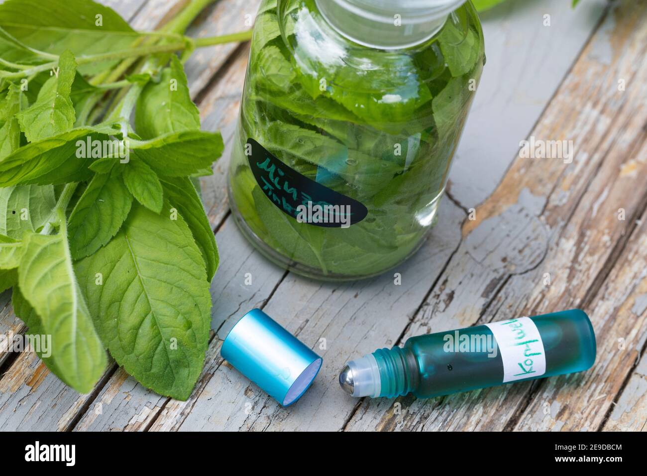 Wild water mint, Water mint, Horse mint (Mentha aquatica), selfmade deodorant with water mint, Germany Stock Photo