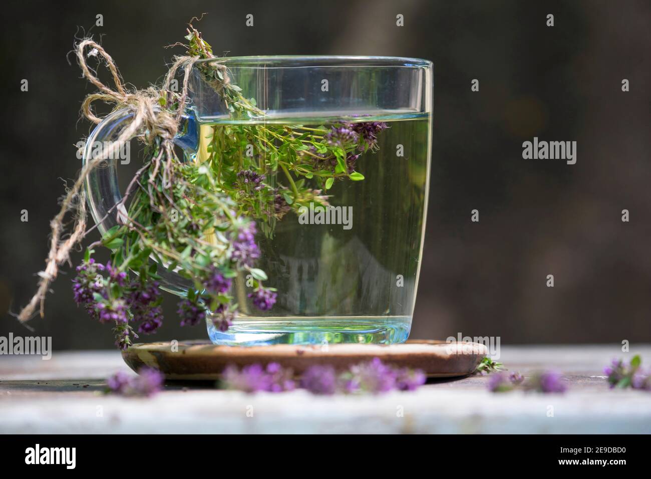 BroadLeaved Thyme, Dot Wells Creeping Thyme, Large Thyme, Lemon Thyme