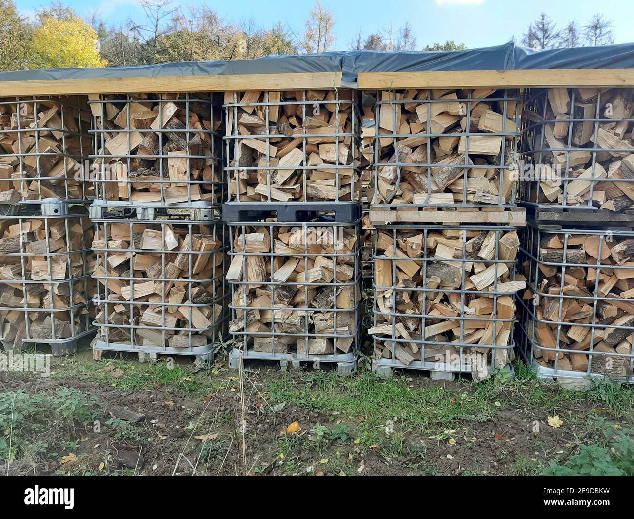 firewood in light metal notches on stockyard in the forest, Germany Stock  Photo - Alamy