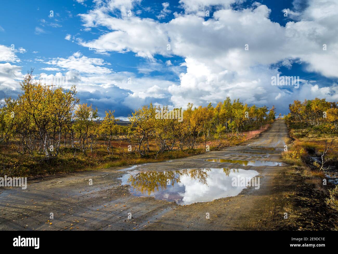 Autumn in norwegian mountains. Beautiful woodland area near Gruvefeltet mining grounds. Path through autumnal birch forest. Norway. Stock Photo