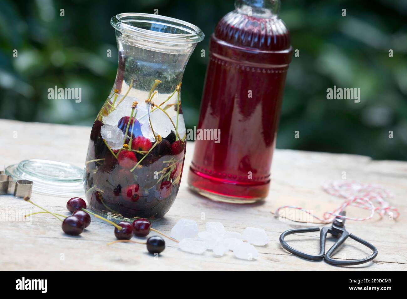 Cherry tree, Sweet cherry (Prunus avium), selfmade cherry liqueur , Germany Stock Photo