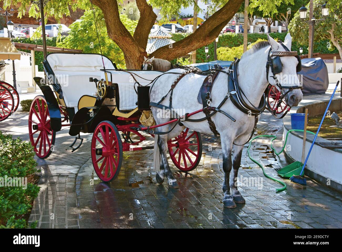 carriage for tourists, Spain, Andalusia, Mijas Stock Photo
