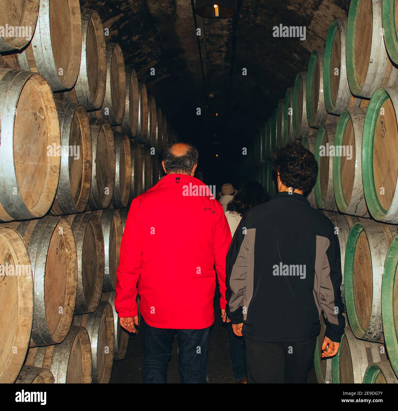 EL CIEGO, ÁLAVA, SPAIN - Jan 31, 2021: The picture shows a guided tour among wine barrels at the Marques de Riscal Winery. Stock Photo