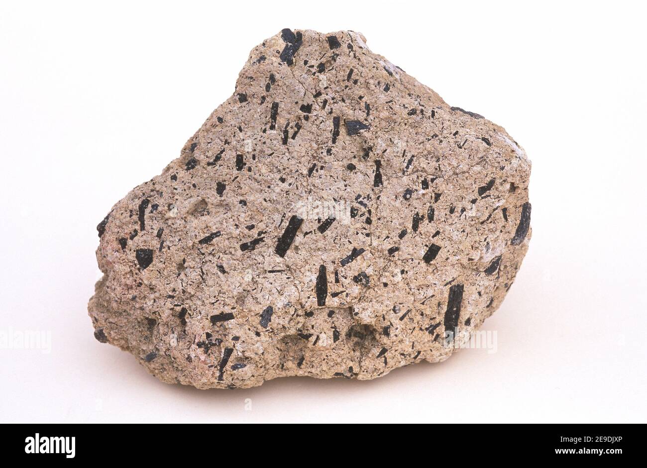 Andesite is a volcanic rock of intermediate composition. This sample has porphyritic texture with large crystals of plagioclase. This sample comes to Stock Photo