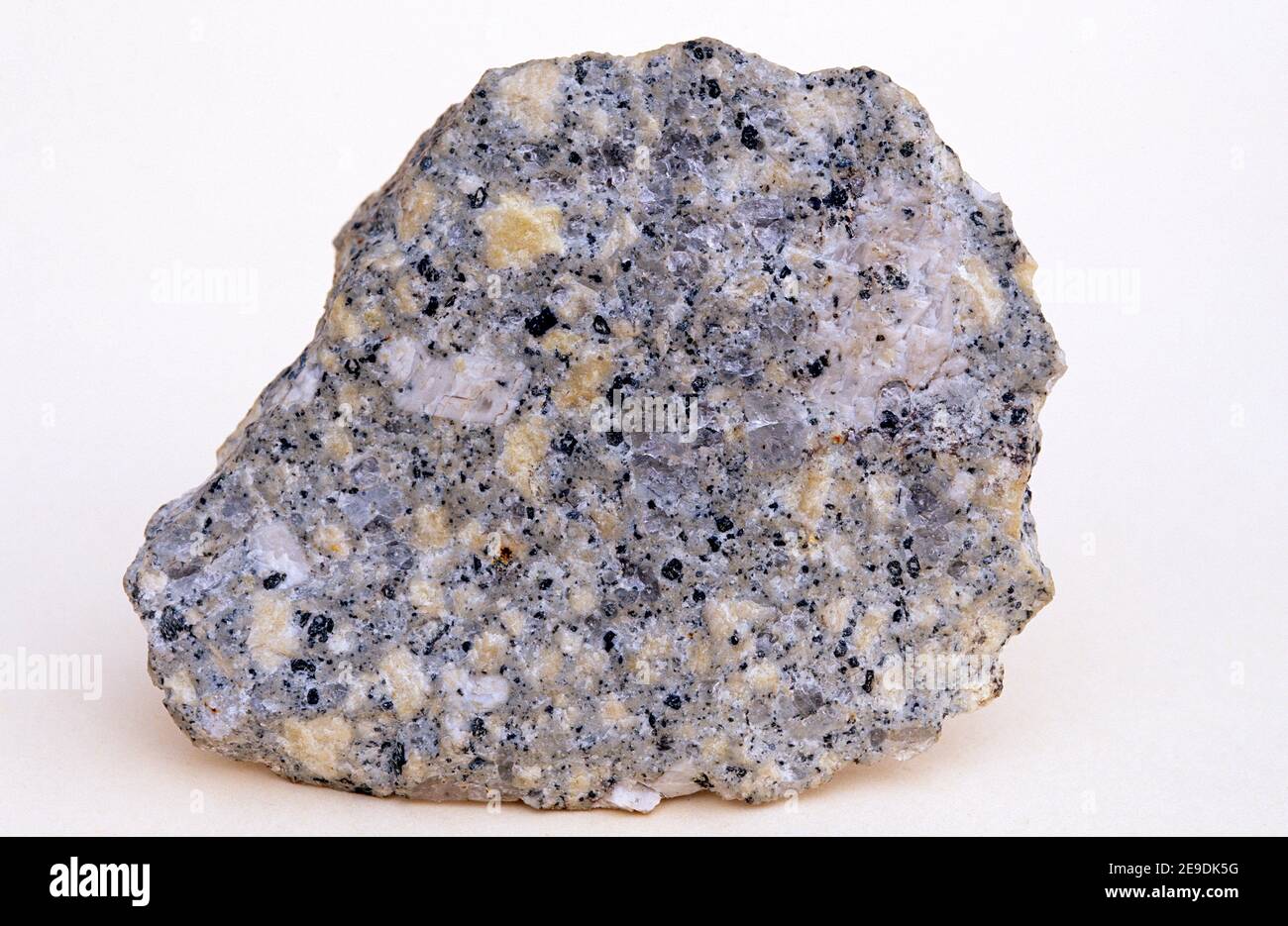 Granite porphyry. Sample. Stock Photo